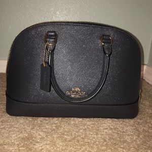 Coach metallic sierra satchel